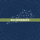 虎年2月份出生男孩名字，虎年男宝宝取什么名字好