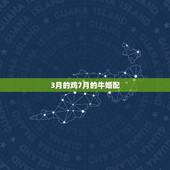 3月的鸡7月的牛婚配，3月鸡和3月牛有姻缘嘛？