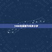 1980年属猴今年多少岁，1977年属蛇人2022 年运势