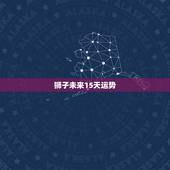 狮子未来15天运势，狮子座2021年运势