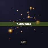 八字测正缘桃花，生辰八字测正缘