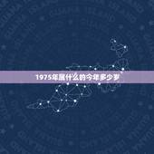 1975年属什么的今年多少岁，七五年出生的今年多大