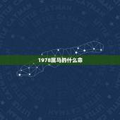 1978属马的什么命，1978属马的是什么命