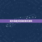 属牛和属羊的适合做夫妻吗，1997丑牛和2083未羊夫妻