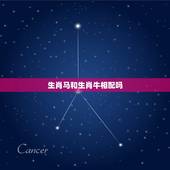 生肖马和生肖牛相配吗，属牛跟属马合吗？