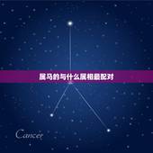 属马的与什么属相最配对，2002年属马的和什么属相最配