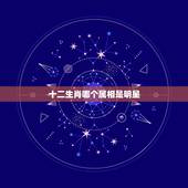 十二生肖哪个属相是明星，明星登场猜一生肖，12生肖之一！
