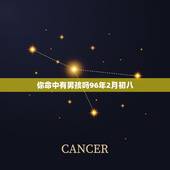 你命中有男孩吗96年2月初八，1996年农历正月初八卯时生的男孩命运如
