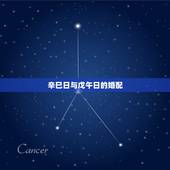 辛巳日与戊午日的婚配，我和女朋友都属鸡，想选在2007年初领证，不知道