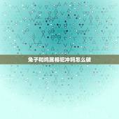 兔子和鸡属相犯冲吗怎么破，如何化解属鸡和属兔相冲