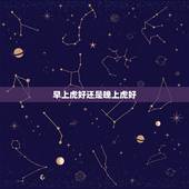 早上虎好还是晚上虎好，为什么说属虎女命硬