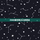 1985属牛男2023的命运 85年属牛男婚姻