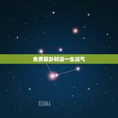 免费算卦财运一生运气 属牛2022年运势及运程