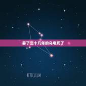 养了三十几年的乌龟死了，自从家里养的两只三十多年的乌龟死了，老公做什么