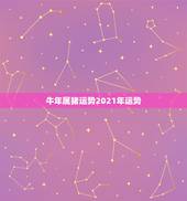 牛年属猪运势2021年运势，2021年运势属猪运势