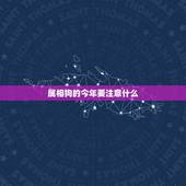 属相狗的今年要注意什么，我家老婆是属相狗，今年有什么忌讳？