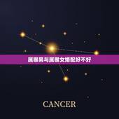 属猴男与属猴女婚配好不好，属猴的男生和什么属相的女孩最相配