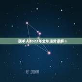 属羊人2022年全年运势详解，79年属羊女一生财运