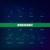 猪婚配属相最好，十二生肖属猪配什么属相好