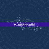 十二生肖资料大全简介，2022 十二生肖表新版