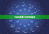 1986虎男1988年龙女，88龙86虎