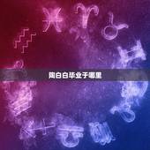 陶白白毕业于哪里，陶白白是谁？