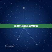 属牛85年男后半生婚姻 85属牛人的婚姻怎么样