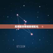周易算命婚姻属相配对，生肖配对-生肖配对姻缘-十二生肖配对-指迷算命