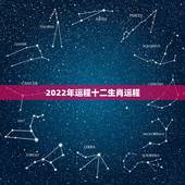 2022年运程十二生肖运程，叩问大师来年流年运程
