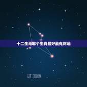 十二生肖哪个生肖最好最有财运，十二生肖中哪个生肖2018年财运最旺？