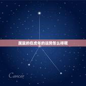 属鼠的在虎年的运势怎么样呢，鼠年在虎年的运势