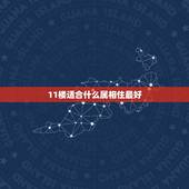 11楼适合什么属相住最好，生肖马和生肖猪的人楼层住几楼风水好