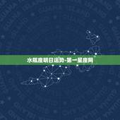 水瓶座明日运势-第一星座网，水瓶座今日运势如何