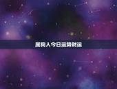 属狗人今日运势财运，属虎今日财运运势