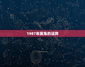 1987年属兔的运势，属兔人2009运程 1987年农历4月19的综合