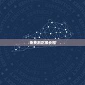 免费测正缘长相，免费测公司名称打分