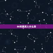 86年属虎人什么命，86年虎辰时是什么命