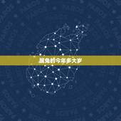 属兔的今年多大岁，属虎的女人怕什么