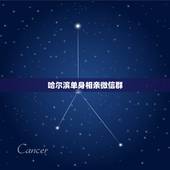 哈尔滨单身相亲微信群，有没有什么相亲的微信群