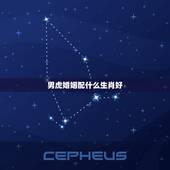 男虎婚姻配什么生肖好，男属虎配什么生肖更好