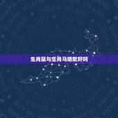 生肖鼠与生肖马婚配好吗，男属鼠和女属马能婚配吗？