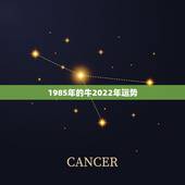 1985年的牛2022年运势，1985属牛的人，到底2021年运势如何