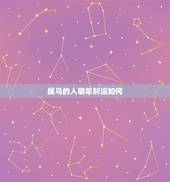 属马的人明年财运如何，属马的今年运势