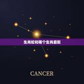 生肖蛇和哪个生肖最配，生肖鼠和哪个生肖最配