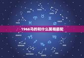 1966马的和什么属相最配，属马的和什么属相最配