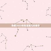 想要2023年兔宝宝几月备孕 2023年兔年不宜添丁
