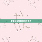 女主和女狗的属相合不合，女的属狗和什么属相犯冲