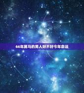 66年属马的男人好不好今年命运，2007年属猪是什么命