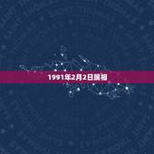 1991年2月2日属相，属羊人1991出生2月2日的命运是怎么样的