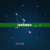 女命辛金旺夫，请问所有的辛金女（辛丑日，辛卯日，辛亥日等）有什么共同的